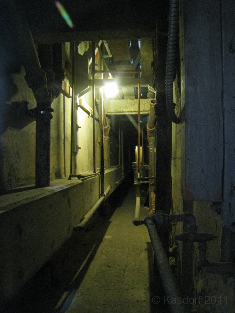 2011 Bay 2 Breakers Saturday 0675.JPG - I was able to participate in the 2011, 100th anniversary of the San Francisco Bay to Breakers 12K race. A great weekend for sight seeing and racing.